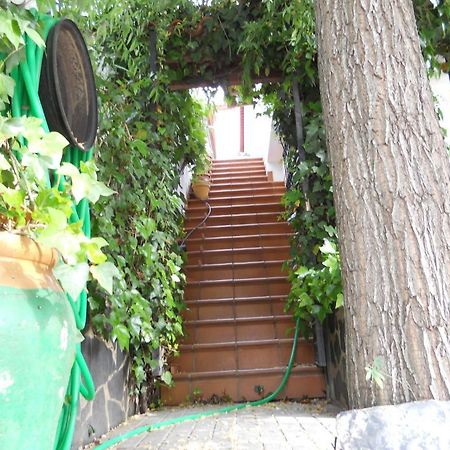 فوينتيئيريدوس Pension Barrio المظهر الخارجي الصورة